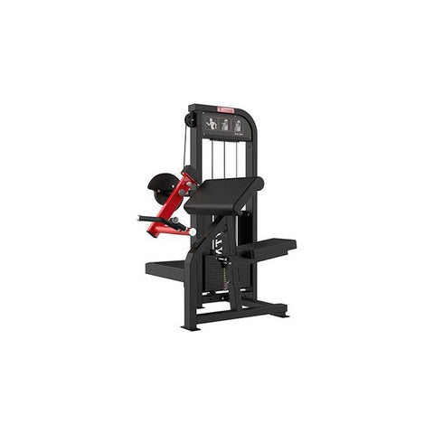 SFE Commercial Arm Curl Bicep Machine (New)