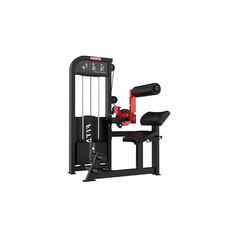 SFE Commercial Back & Abdominal Combo Machine (New)