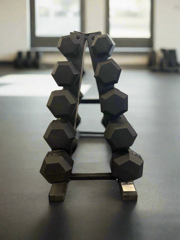 SFE A-Frame Dumbbell Rack