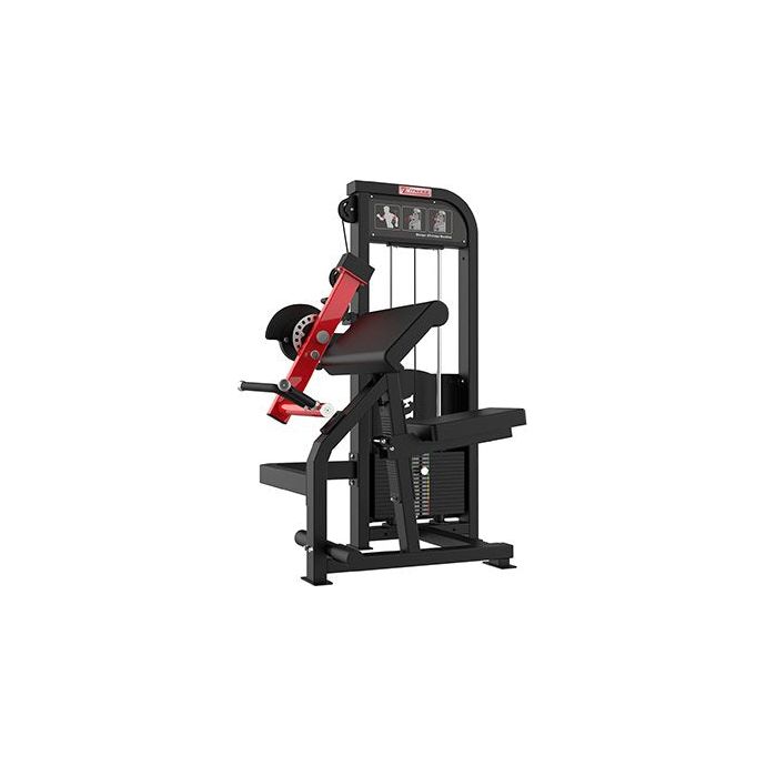 SFE Commercial Bicep & Tricep Combo Machine (New)