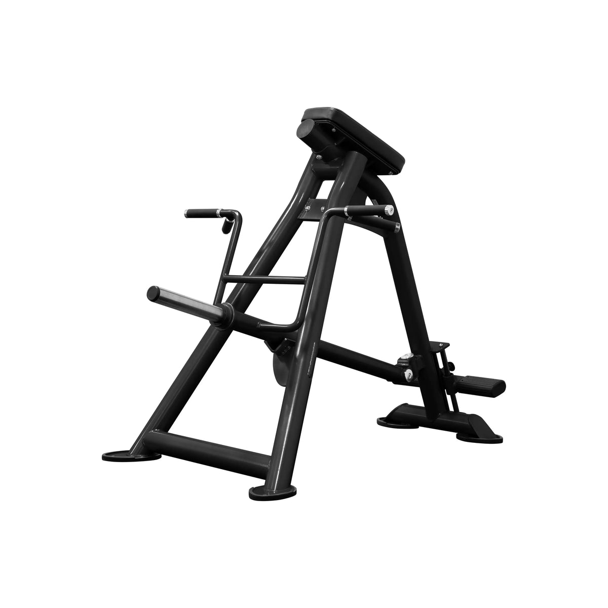 SFE Standing T-Bar Row (New)