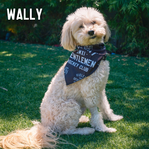 Loyalty Pet Bandana